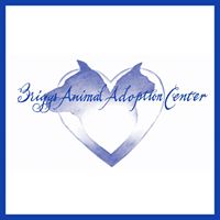 The Briggs Animal Adoption Center & Spay Today